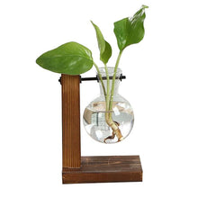 Carregar imagem no visualizador da galeria, Terrarium Hidropônicos GlassGreen Decoração 06 DMAZI 1 Vaso