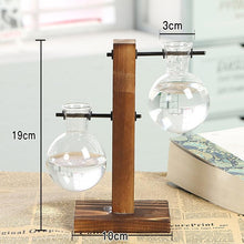 Carregar imagem no visualizador da galeria, Terrarium Hidropônicos GlassGreen Decoração 06 DMAZI