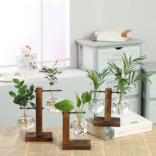 Carregar imagem no visualizador da galeria, Terrarium Hidropônicos GlassGreen Decoração 06 DMAZI