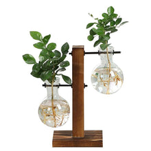 Carregar imagem no visualizador da galeria, Terrarium Hidropônicos GlassGreen Decoração 06 DMAZI 2 Vasos Alternados