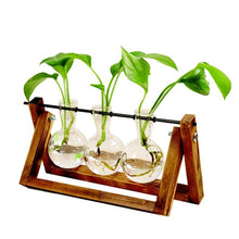 Carregar imagem no visualizador da galeria, Terrarium Hidropônicos GlassGreen Decoração 06 DMAZI 3 Vasos