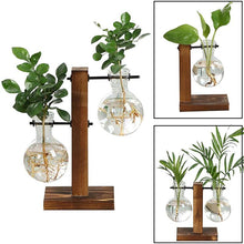 Carregar imagem no visualizador da galeria, Terrarium Hidropônicos GlassGreen Decoração 06 DMAZI 
