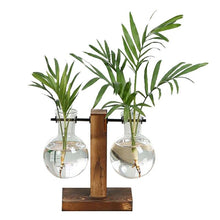 Carregar imagem no visualizador da galeria, Terrarium Hidropônicos GlassGreen Decoração 06 DMAZI 2 Vasos Iguais 
