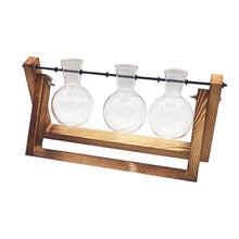 Carregar imagem no visualizador da galeria, Terrarium Hidropônicos GlassGreen Decoração 06 DMAZI 
